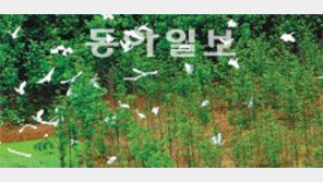 [부산/경남]태화강 삼호대숲과 백로 얼마나 아시나요