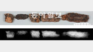 백제 대도서 金상감 문양 첫 확인