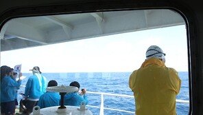 [SD포토] 송일국, 바다를 보며… ‘무슨 생각해?’