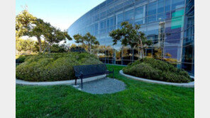 사망해도 연봉 주는 구글, 꿈의 직장 甲일까?