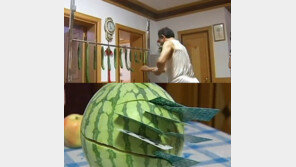 카드로 오이와 수박을 자르는 사람이 있다?… 기네스 등재!