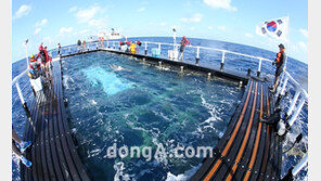 [SD포토] 독도를 향해 나아가는 수영배