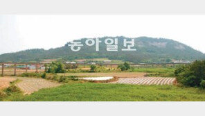 [광주/전남]‘일제 수탈’ 옥매산, 이젠 웃으소서