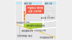 [인천/경기]송도에 5만m² 초대형 쇼핑街 선다… 연내 350여 업체 유치 추진