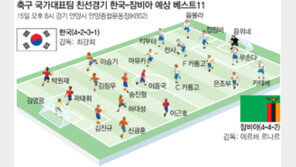잠비아 잠재워라, 이젠 월드컵모드… 15일 안양서 친선경기