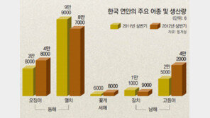 고등어 돌아오자 갈치가 사라졌다
