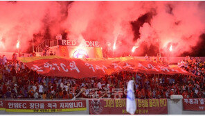 [현장리포트] “안양 FC창단”…멈출 수 없는 시민들의 꿈