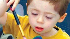 [수도권]각시탈 친구들 보러오세요