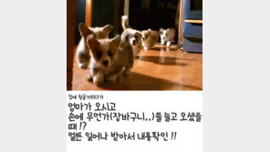 엄마가 장 봤을 때 공감, 클릭하자마자 멘붕 “공감 백배”