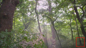 ‘아랑사또전 옥에티’, 의문의 남성 포착 “대박징조?”