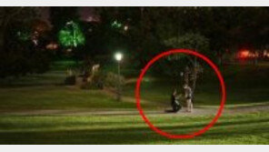 우연히 찍은 프러포즈, 한밤 중 로맨틱한 공원 청혼