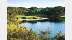 [그린에서]경기 포천 베어크리크 골프클럽의 크리크 코스 外