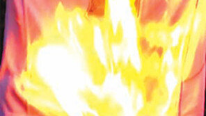 아스널 팬, 판페르시 유니폼 화형식