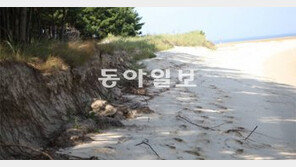 태안 해안선 ‘실종’… 1년새 30m 후퇴