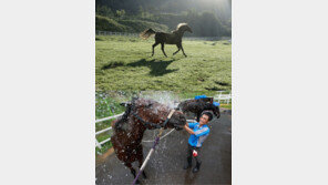 ‘여름휴가’ 사람만 가나? 경주마도 떠난다!