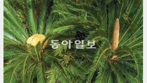 [O2/꽃과의 대화]은행나무 같은 암수딴그루… 화려함 모르고 살아온 네 모습 짠하구나