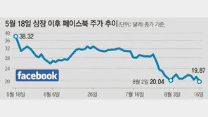 페이스북 주가 20달러선도 깨져