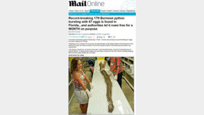 5m 괴물뱀 발견…‘사람도 죽일 수 있어~’