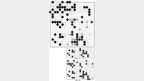 [바둑]제56기 국수전… 적시의 응수타진 118 