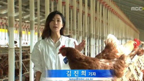 MBC 김진희 기자, 여신 미모 화제 ‘한채아 닮은꼴’