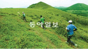 제주의 자연을 달린다