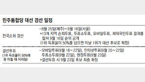 [선택 2012/새누리 대선후보 박근혜]“84% 득표율 민주정당선 유례없어”