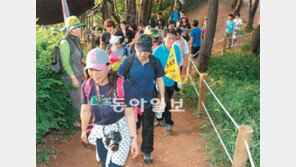 [인천/경기]저녁산책, 둘레길 걸을까 夜시장 가볼까