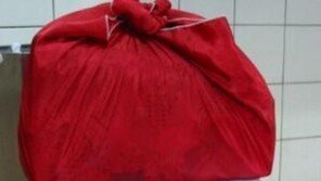 시골에서 올라온 개 ‘깜짝’… “이거 의외로 무서운데?”