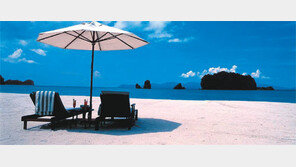 [헬스&뷰티]생체시계는 아직도 휴가중?… “비타민C로 되돌리세요”