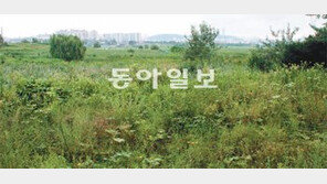 항공기 안전이냐, 습지 보호냐… 김포공항 주변 습지 27홀 골프장 조성 논란