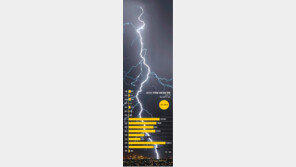 게릴라 낙뢰 전성시대… 국지성 폭우 영향 증가세