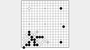 [김승준 9단의 이 한수]내려서는 호수(好手)