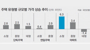 소형 아파트-중형 단독… 불황에도 집값 뛰었다