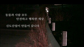 로드킬 해마다 급증… 그래도 대책은 있다?