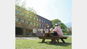 [大入수시 필승전략]지원자격 없어져 삼수생 이상도 응시 가능