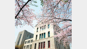 [大入수시 필승전략]수시 1차, 100% 입학사정관 전형 선발… 수시 2차, 논술중심-수시 3차, 학생부 100%