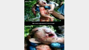 ‘아프리카 괴생명체’ 고블린인가? 외계인인가?