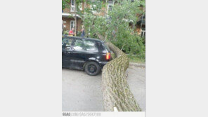 ‘운이 좋았던 차 주인’ 차 주인은 로또라도 사야할 듯?