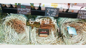 “진정한 ‘강남스타일’은 멋 아닌 맛이죠”