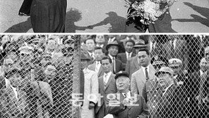 이승만 대통령 관중석에서 시구… 국가기록원 옛 야구 자료 공개