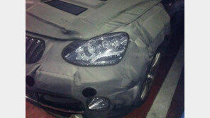 현대車 신형 에쿠스 출시 소식에 외신도 술렁…