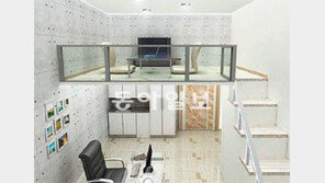 [Home&Dream]복층형 오피스텔 10년 만에 열기 후끈