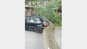 운 좋았던 차 주인, “나라면 당장 로또부터 산다” 폭소!