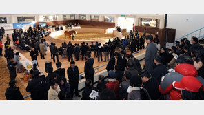 말로만 듣던 ‘말산업’ 한눈에