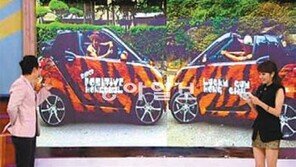 [TV 하이라이트]노홍철 애마 ‘홍카’ 감정가는?