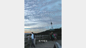 [수도권]가을이 저만치 오네