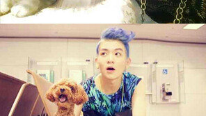 틴탑,  강아지-고양이와 애교셀카 ‘귀여워’