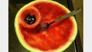 수박 편하게 먹는 법, “편하게 먹는 법보다는 편하게 버리는 법!”