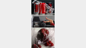 더 사진 같은 그림, 사람이 그린 그림맞아? ‘경악’