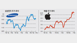 주가도 희비… 애플은 하이킥, 삼성은 큰 짐